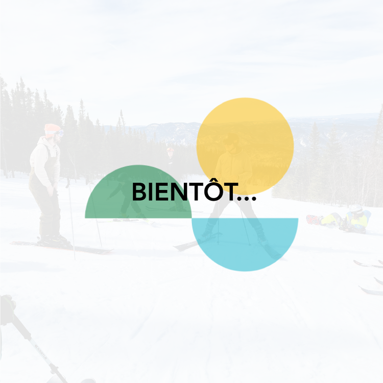 Ferreol Skis Explo 96