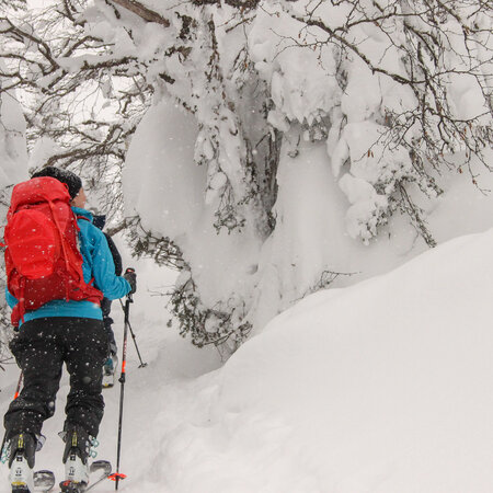 Location à Chicoutimi