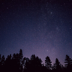 Camping & randonnée