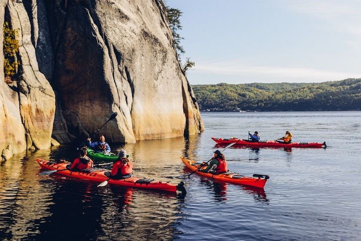 Excursions guidées et formations