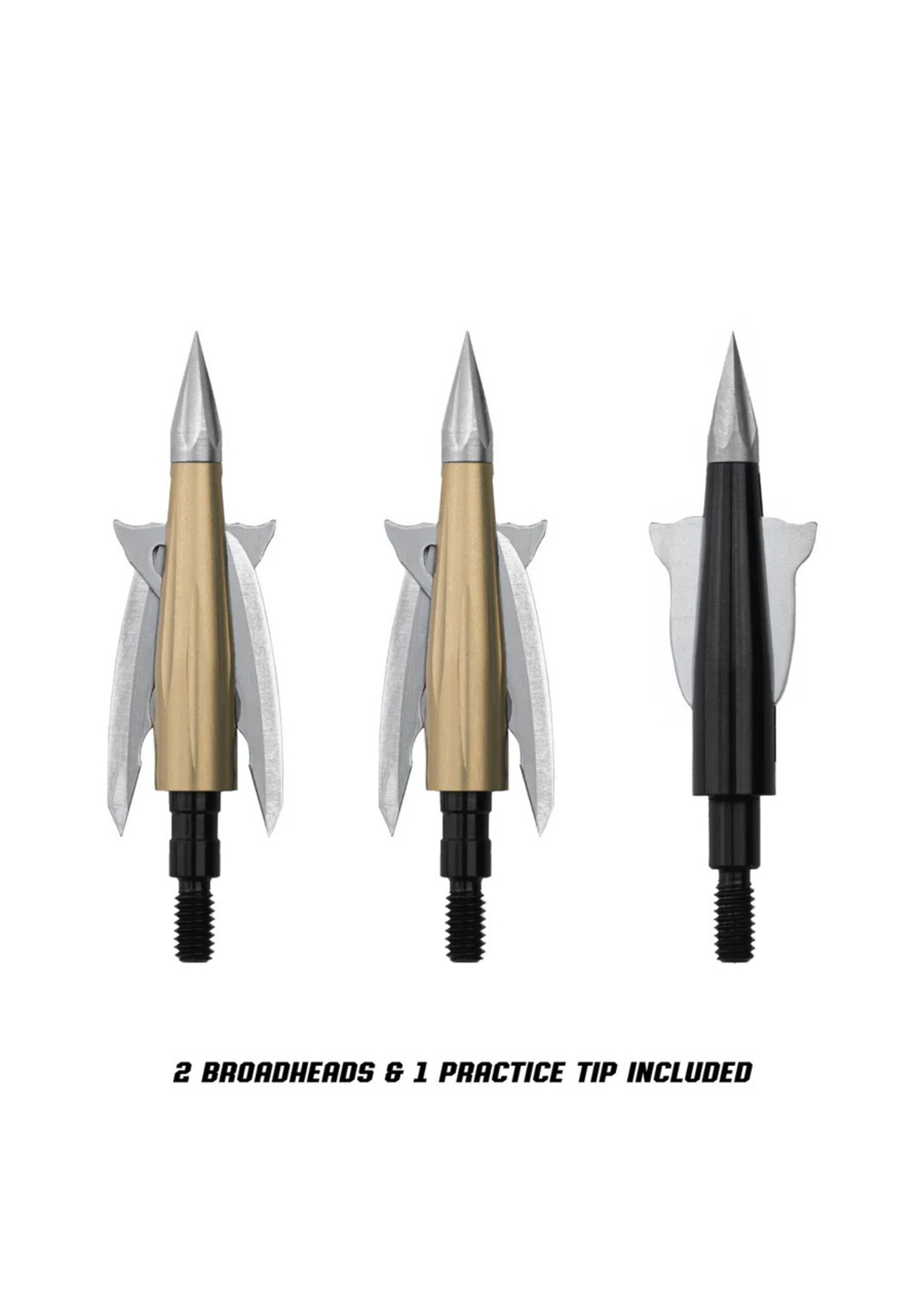 Beast Broadhead 2pk + Practice Tip