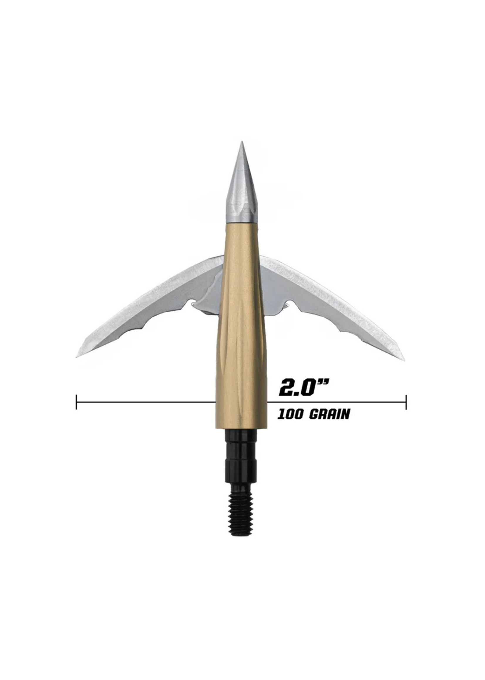 Beast Broadhead 2pk + Practice Tip