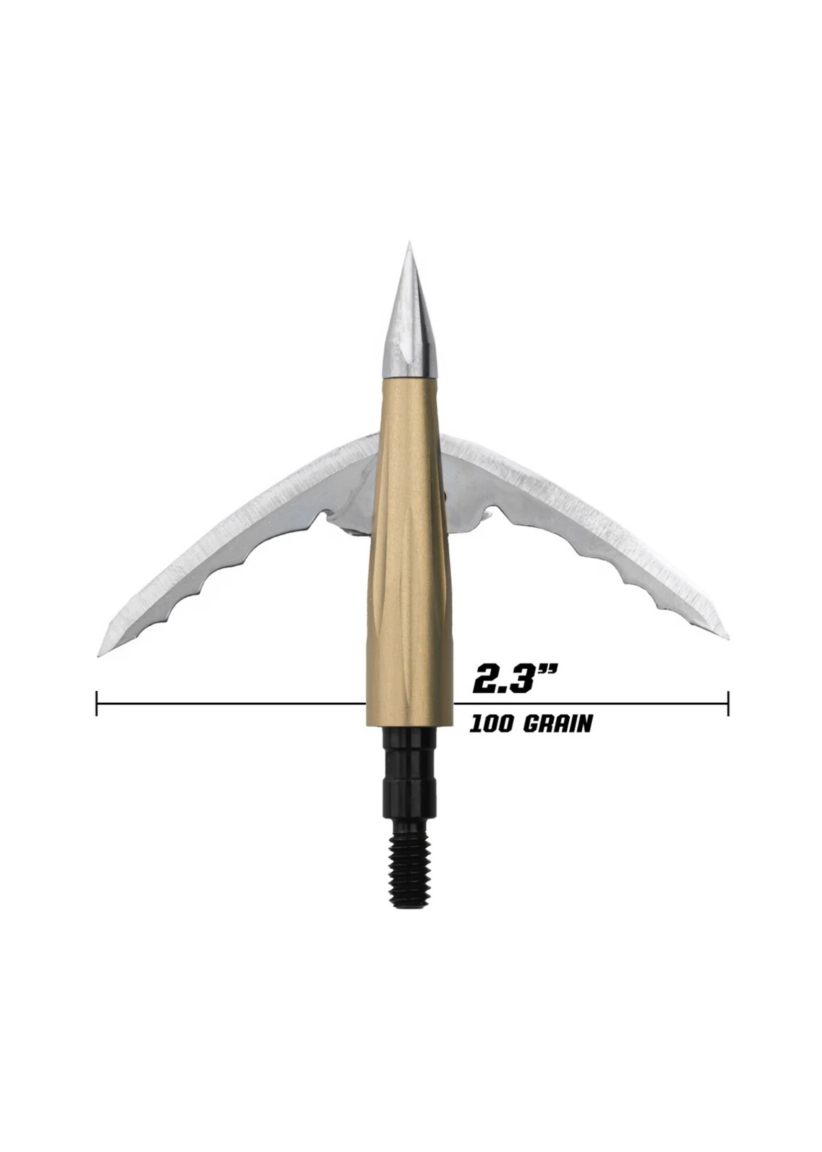 Beast Broadhead 2pk + Practice Tip