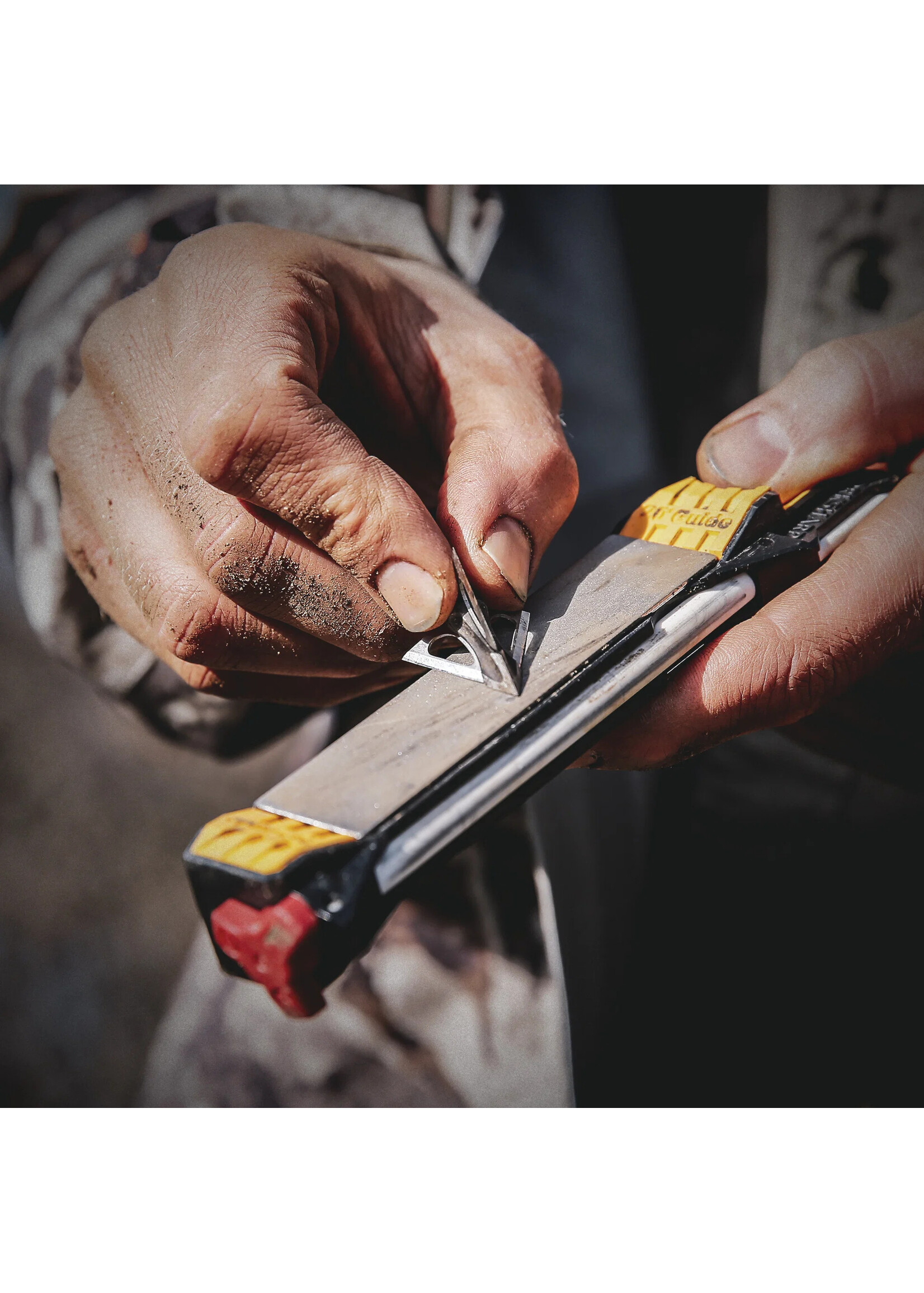 Guided Field Sharpener