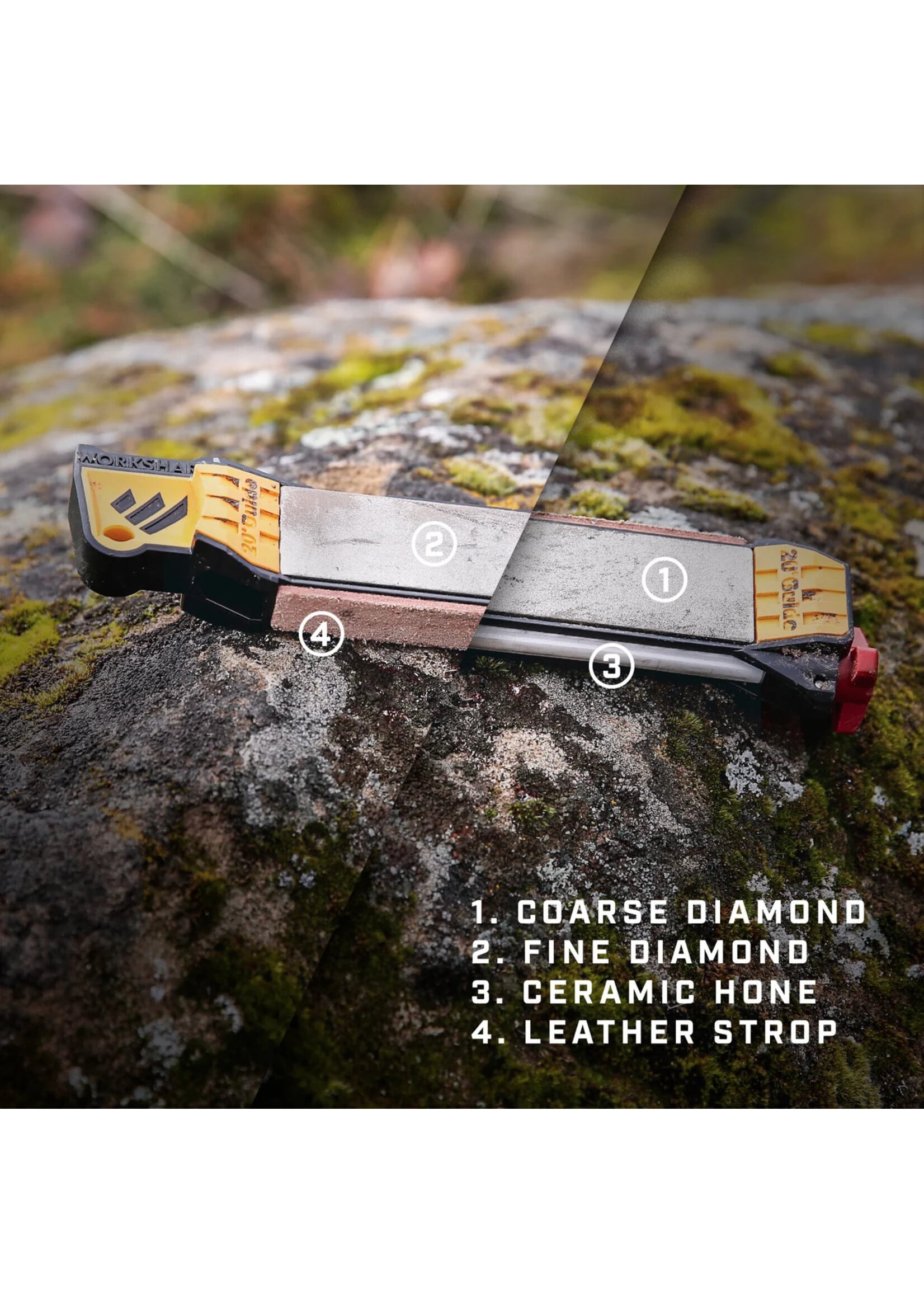 Guided Field Sharpener