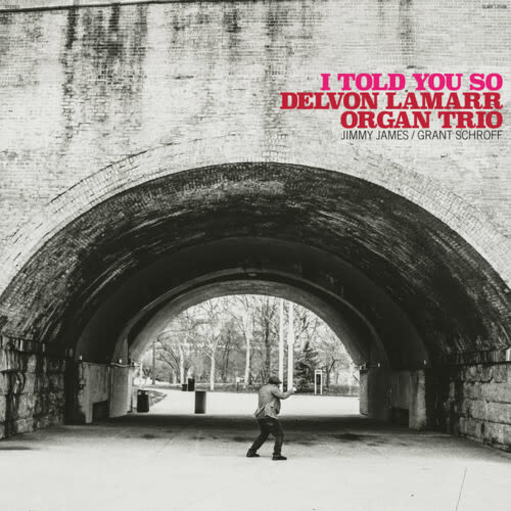 Colemine Delvon Lamarr Organ Trio - I Told You So (LP)