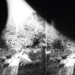 Constellation Godspeed You Black Emperor - Asunder, Sweet And Other Distress (LP)