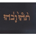 Constellation Godspeed You! Black Emperor - Slow Riot For New Zero Kanada (LP)