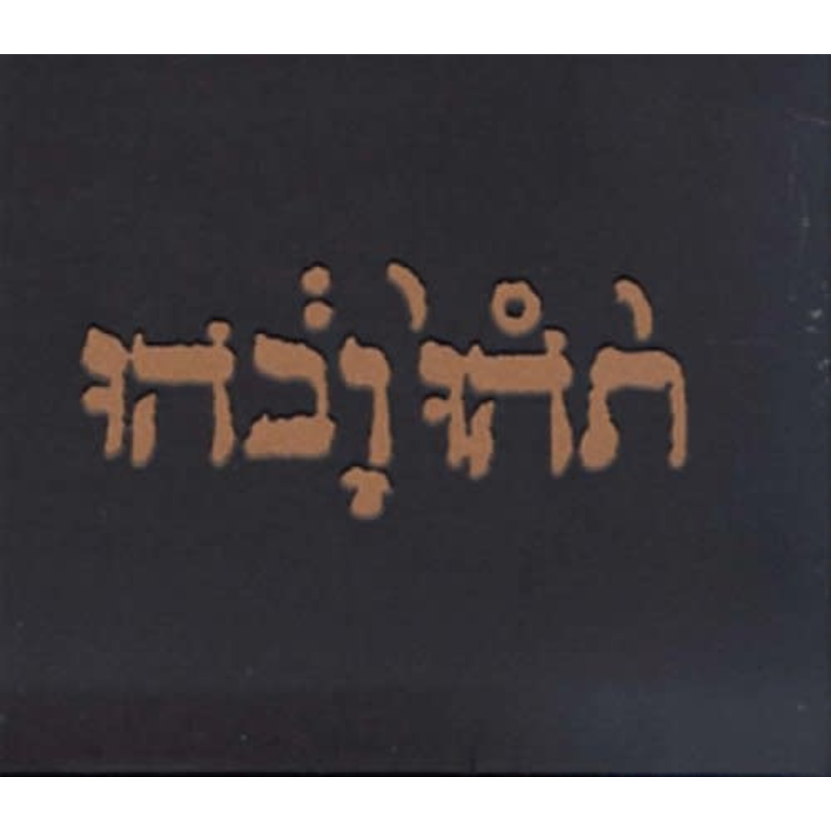 Constellation Godspeed You! Black Emperor - Slow Riot For New Zero Kanada (LP)