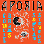 Asthmatic Kitty Sufjan Stevens & Lowell Brams - Aporia (LP)