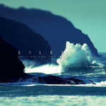 Auction For The Promise Club - Silence (LP)