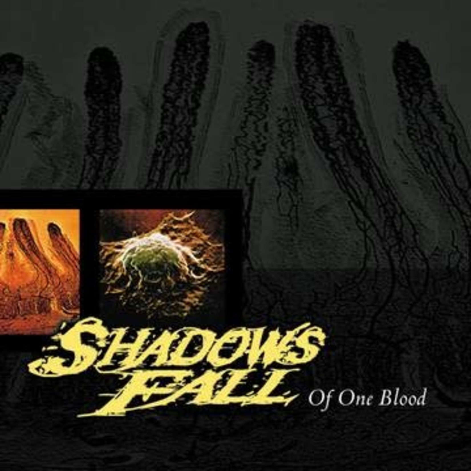 RSD Black Friday 2011-2022 Shadows Fall - Of One Blood (LP) [Red]