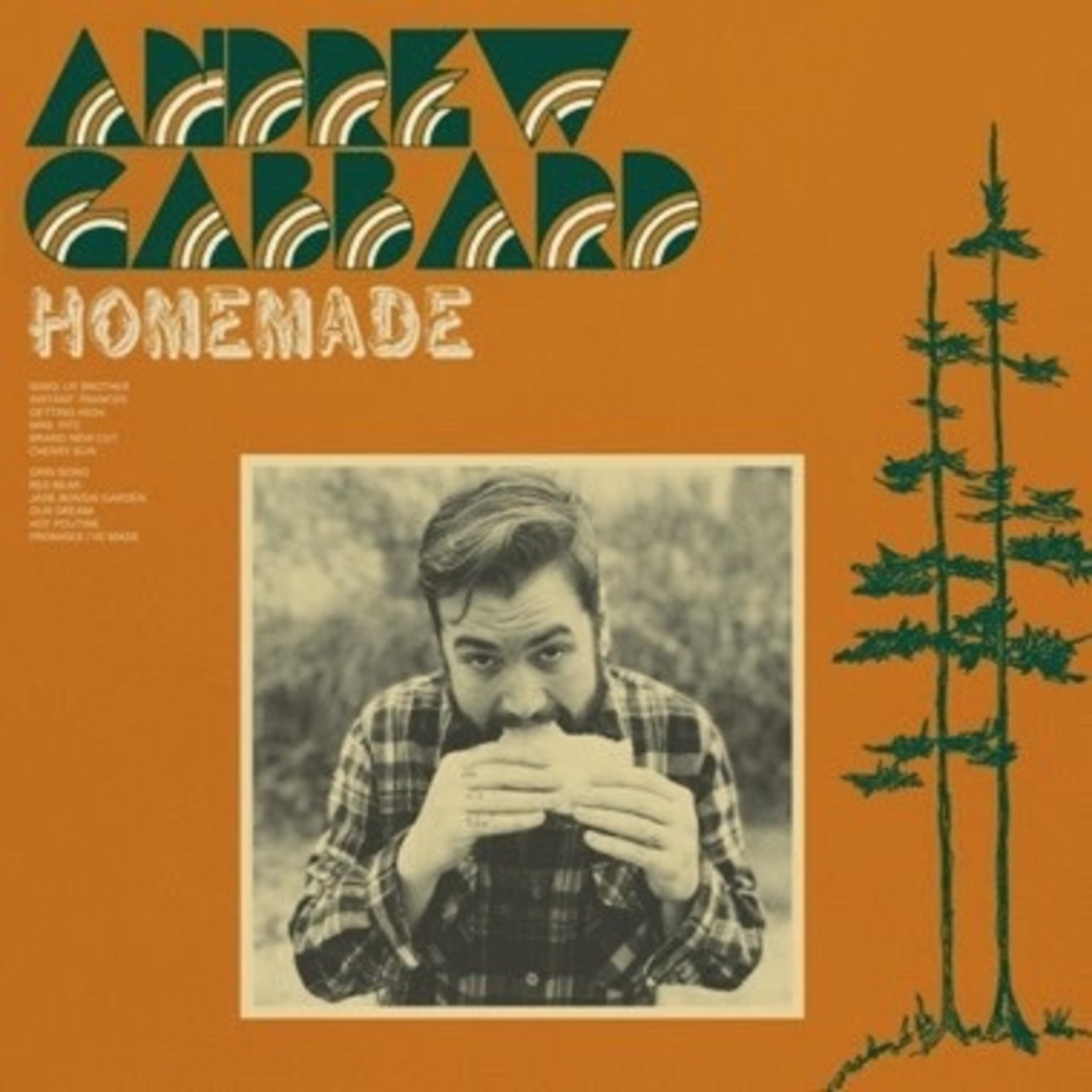Colemine Andrew Gabbard - Homemade (LP) [Camo Green]