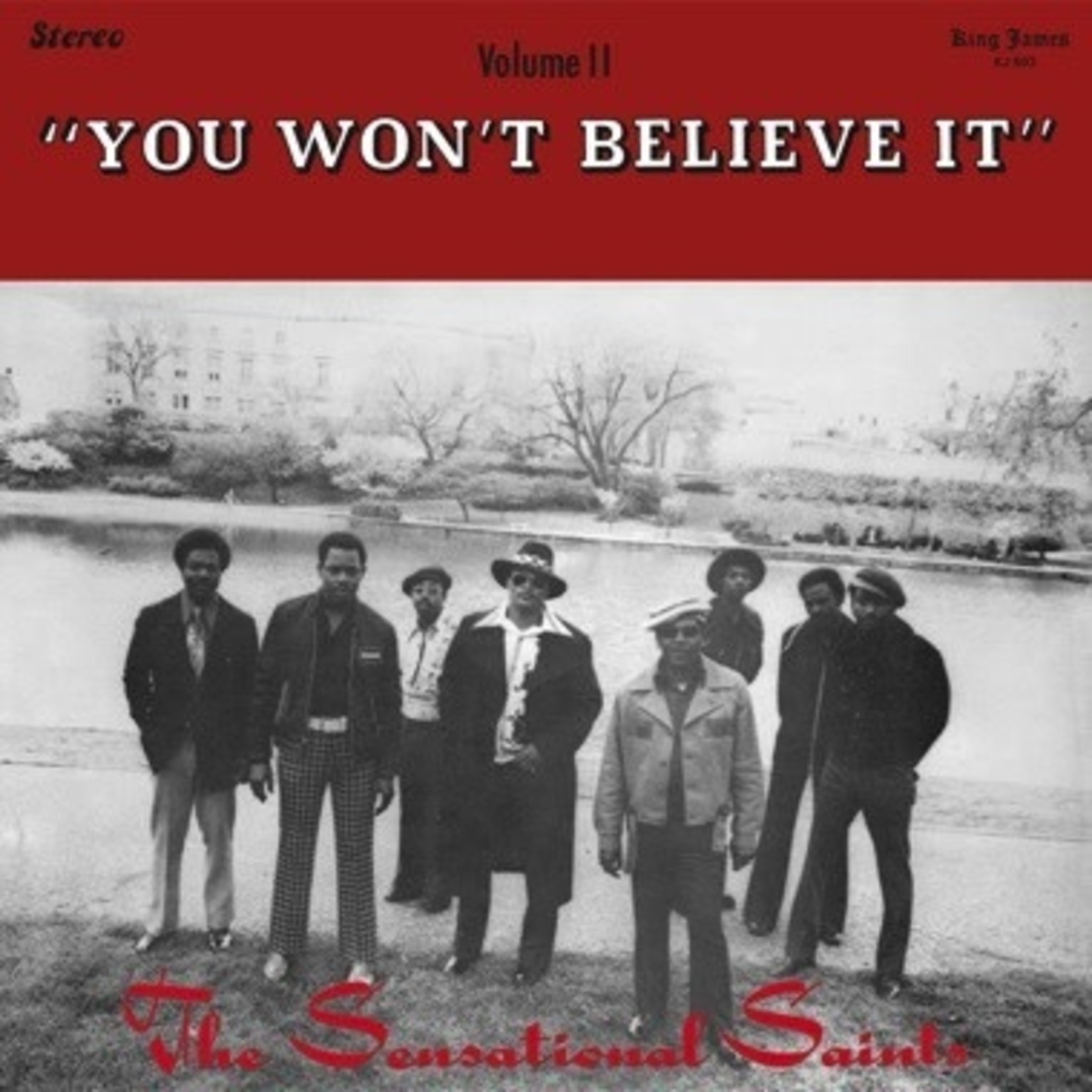 Numero Group Sensational Saints - You Won't Believe It (LP)