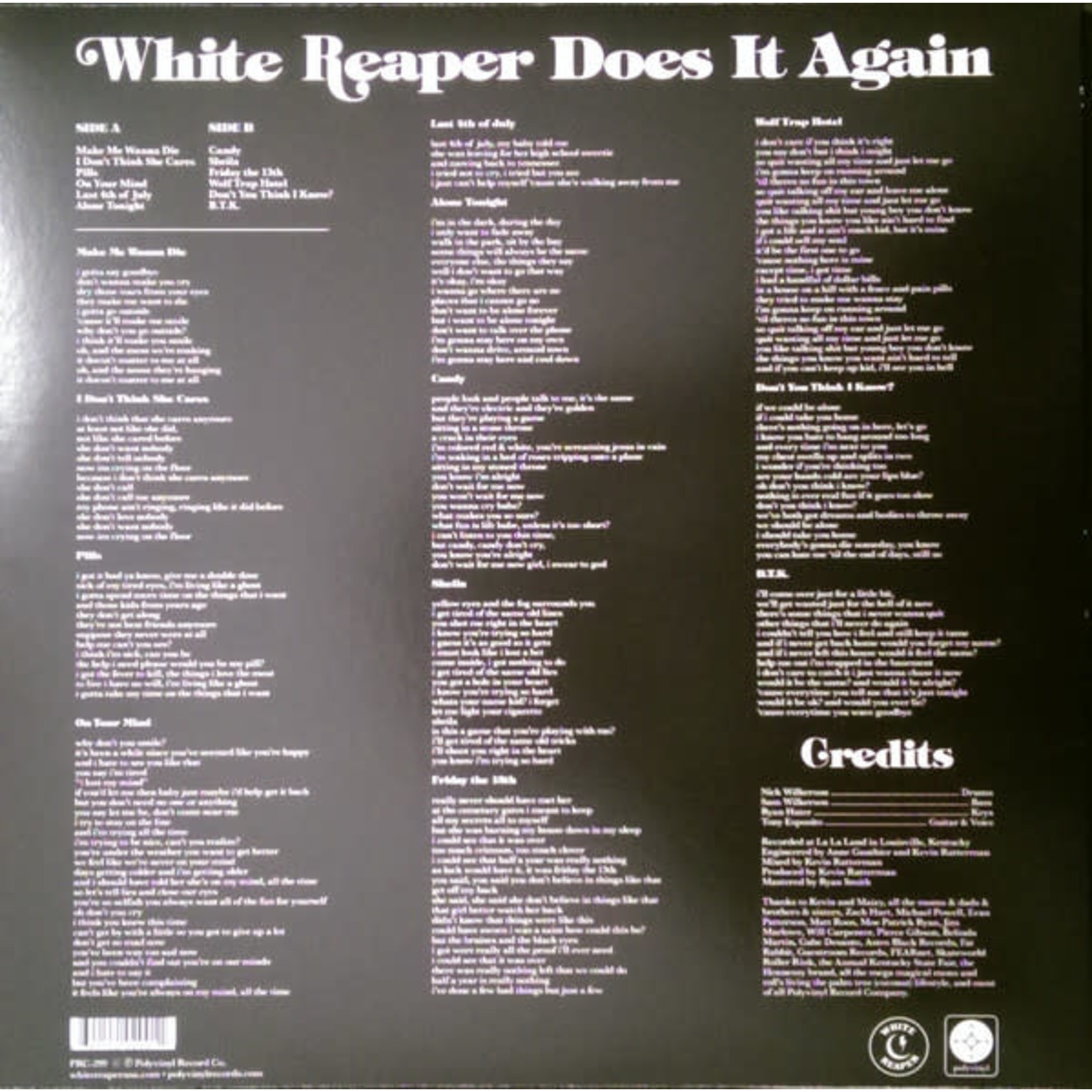 Polyvinyl White Reaper - White Reaper Does It Again (LP) [Purple]