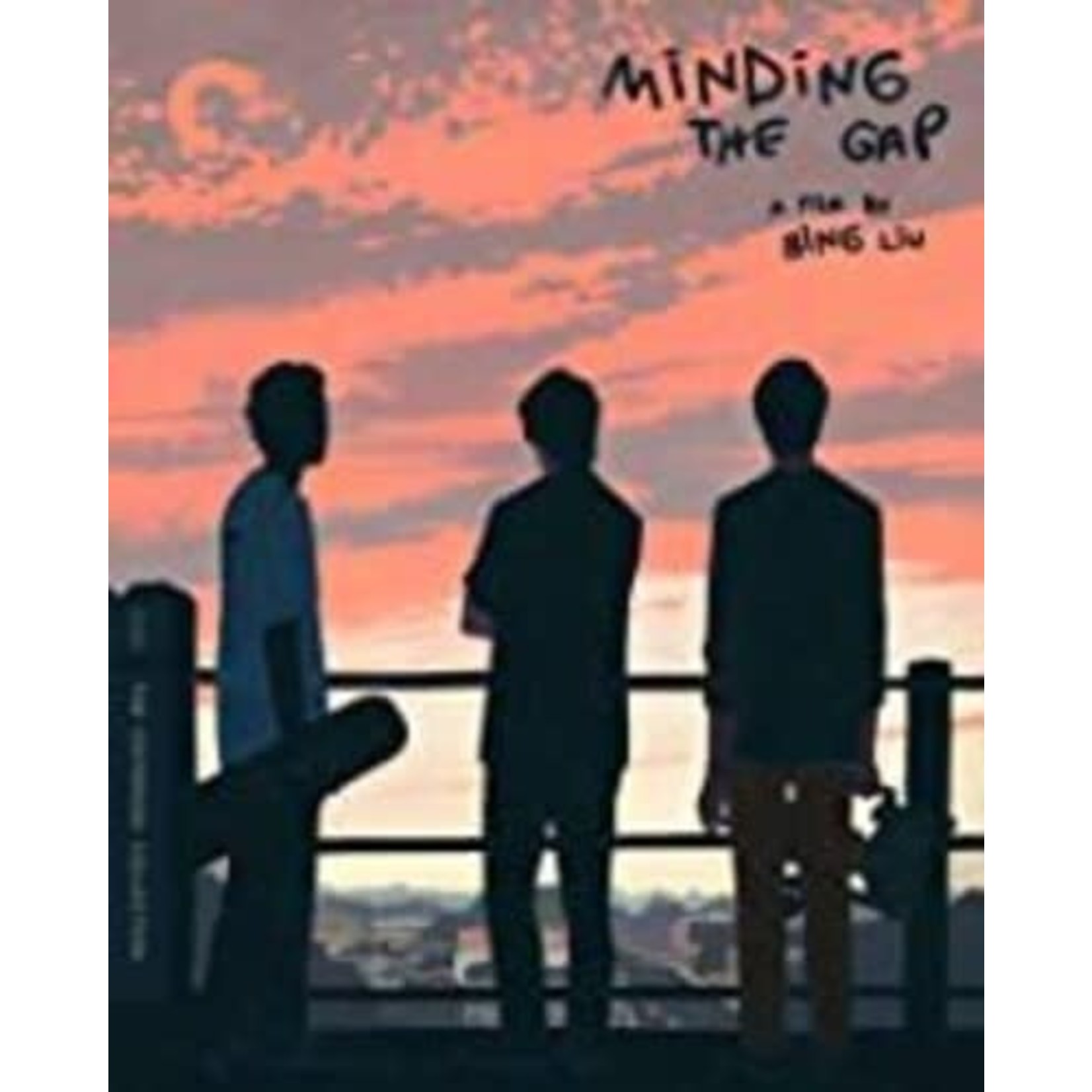 Criterion Collection Minding the Gap (BD)