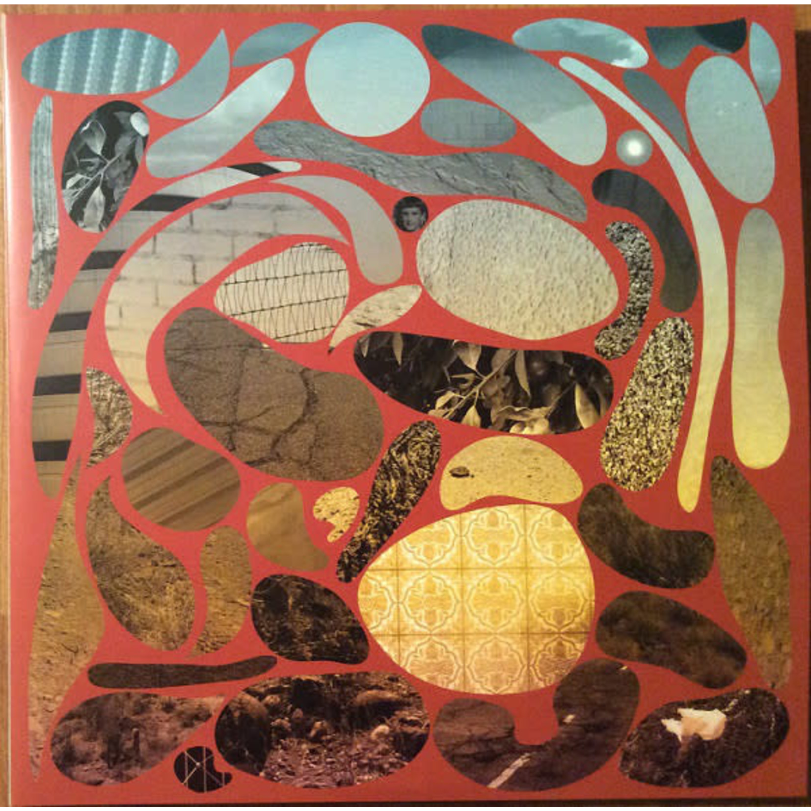 Polyvinyl Pedro The Lion - Phoenix (2LP) [Seafoam]