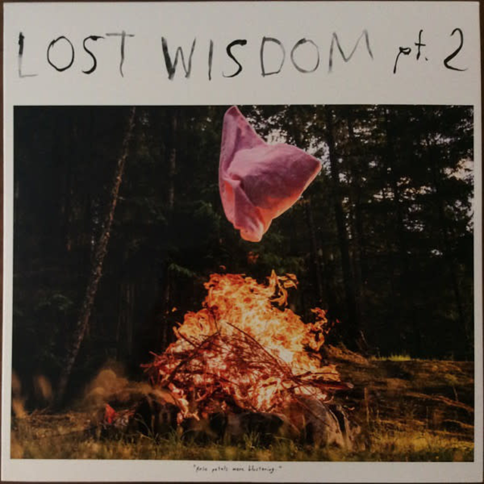 PW Elverum & Sun Mount Eerie & Julie Doiron - Lost Wisdom Pt 2 (LP)