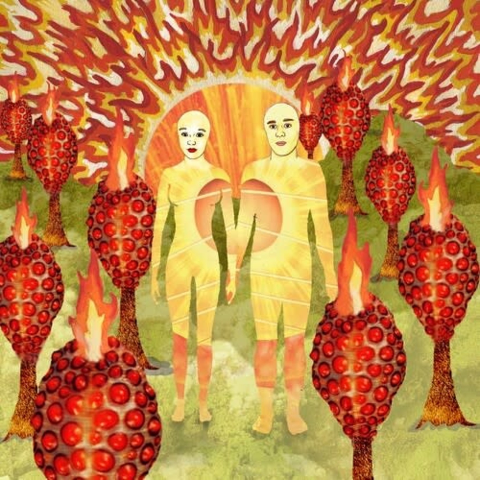 Polyvinyl Of Montreal - The Sunlandic Twins (2LP) [Red/Orange]