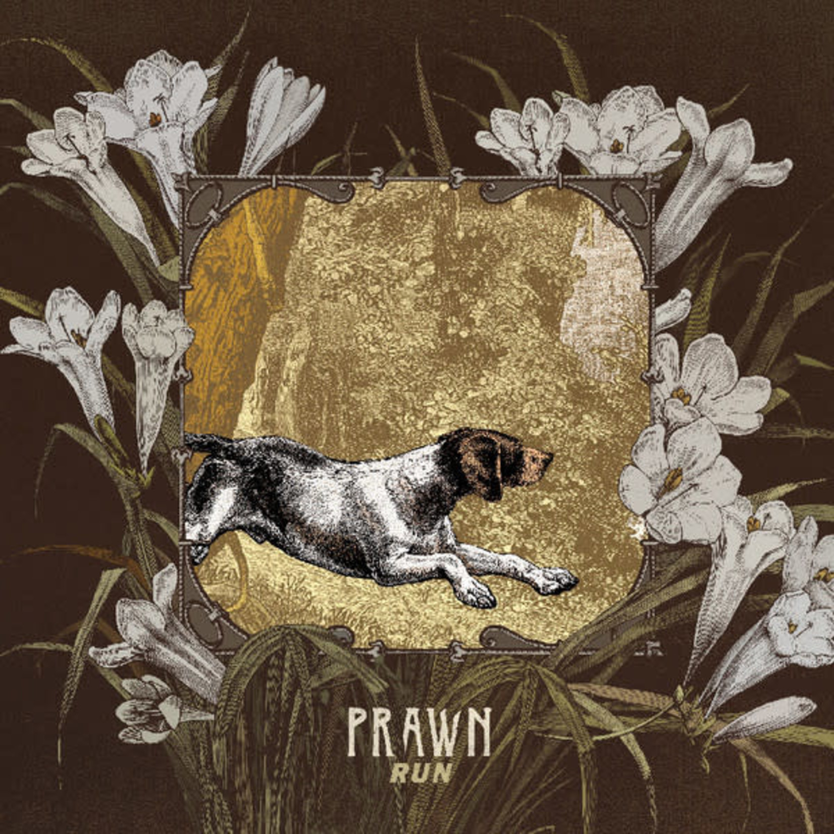 Topshelf Prawn - Run (LP) [White/Cream/Brown]
