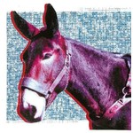 Domino Protomartyr - Ultimate Success Today (LP)
