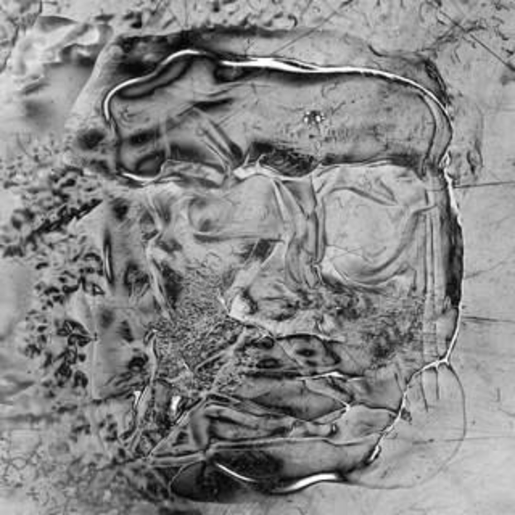 Domino How To Dress Well - The Anteroom (2LP) [Silver]