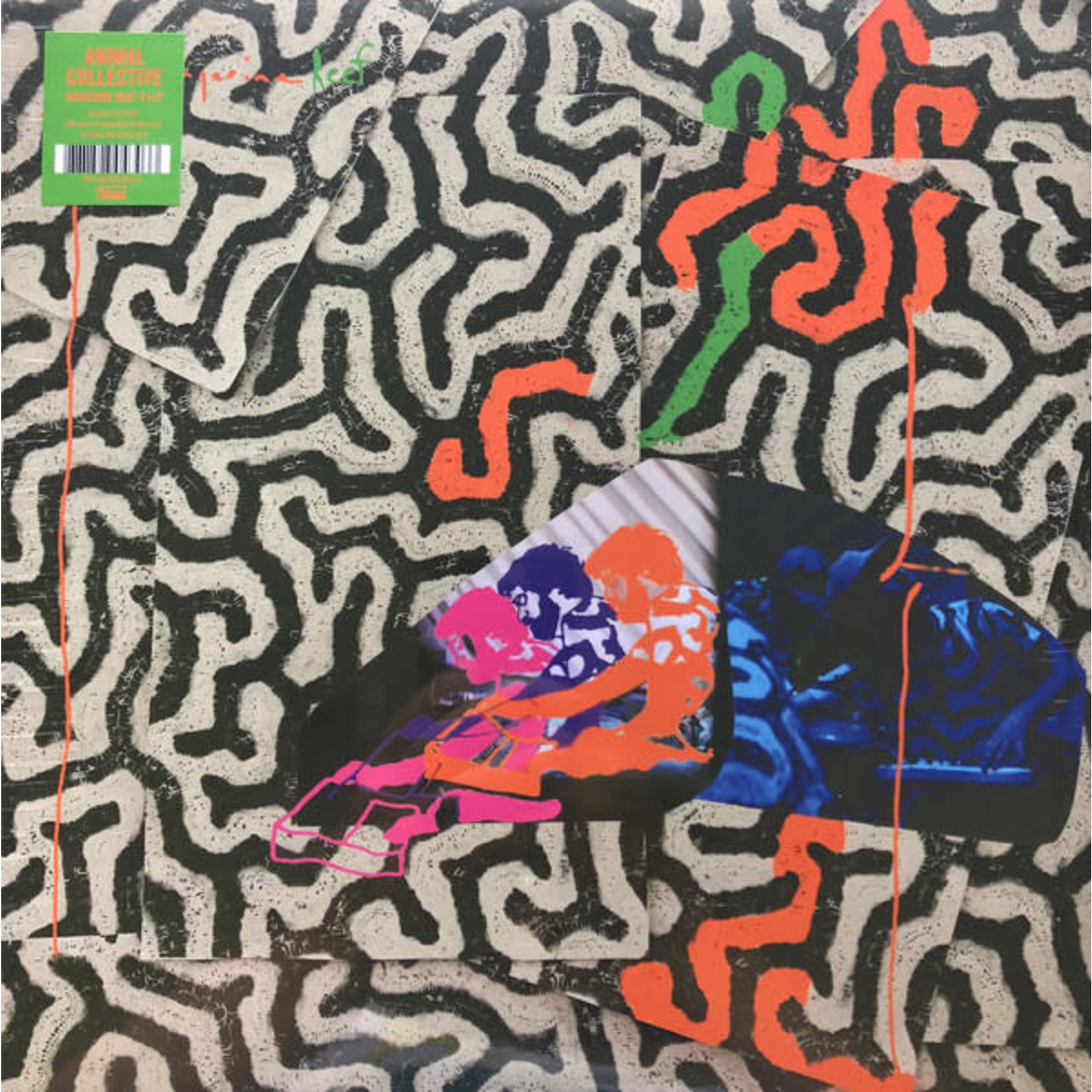Domino Animal Collective - Tangerine Reef (2LP) [Green]