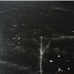 Lykke Li - Wounded Rhymes (2LP) [10th]