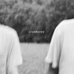 Double Double Whammy Hovvdy - Cranberry (LP) [Clear]