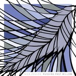 Nick Zoulek - Rushing Past Willow (CD) [2016]