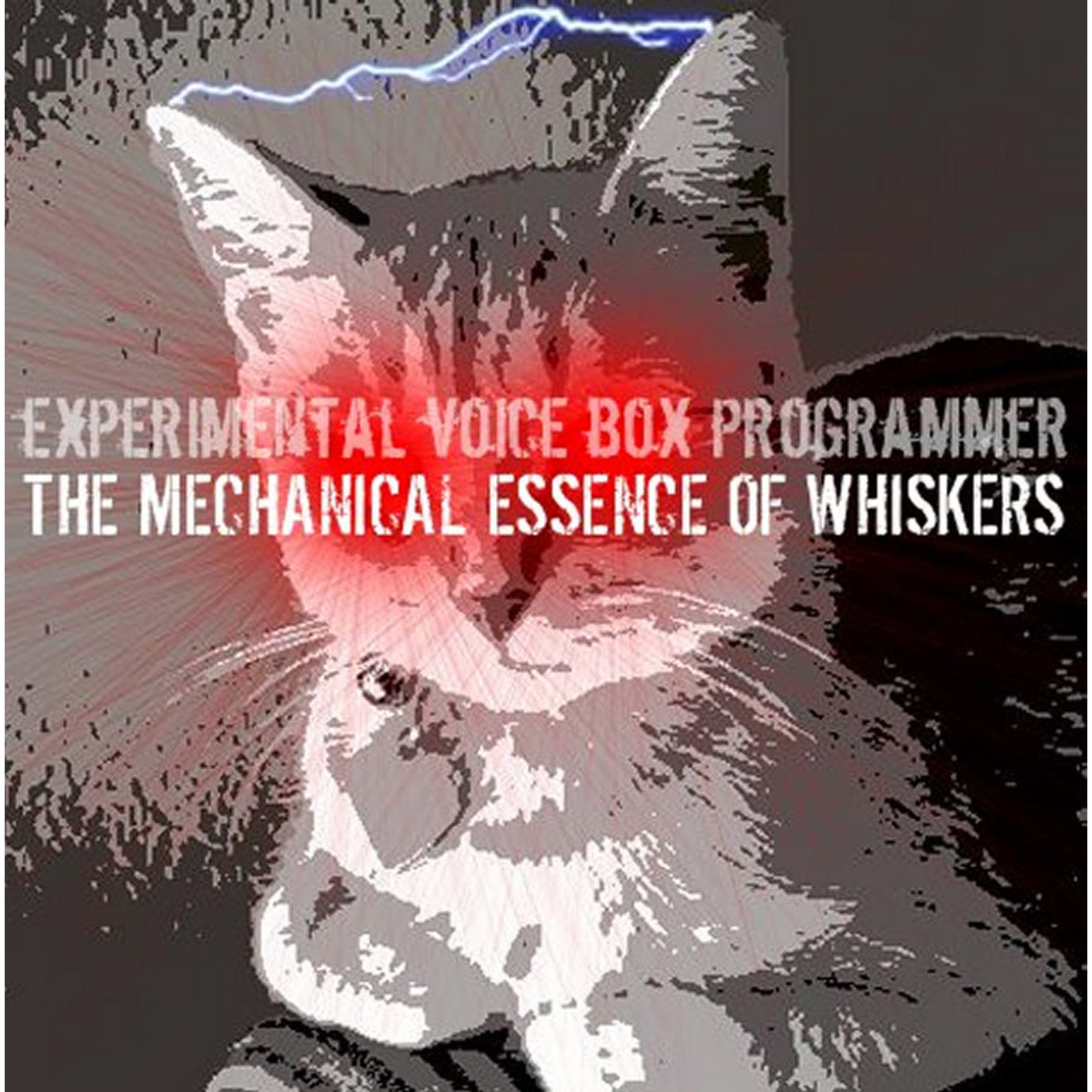 Experimental Voice Box Programmer - Mechanical Essence Of Whiskers (CD) [2016]
