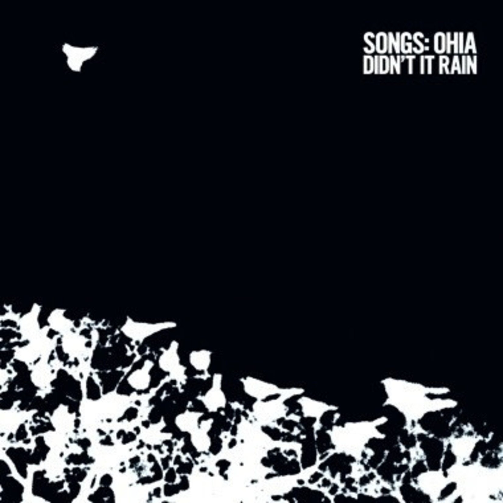 Secretly Canadian Songs: Ohia - Didn't It Rain (LP)