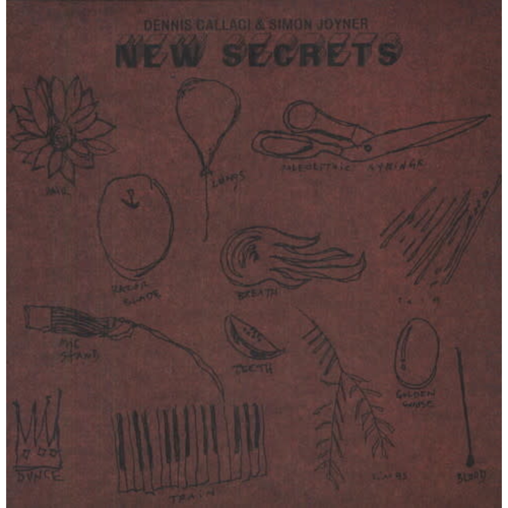 Shrimper Simon Joyner & Dennis Callaci - New Secrets (LP)
