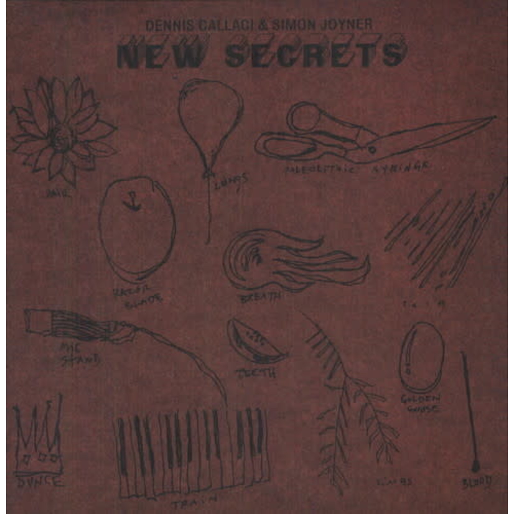 Simon Joyner & Dennis Callaci - New Secrets (LP)