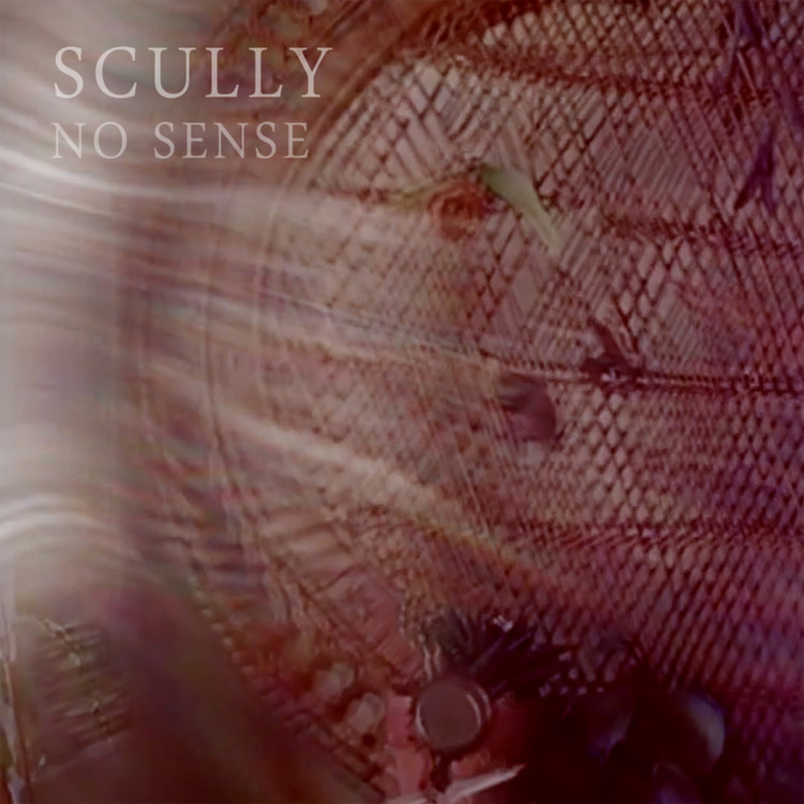 Fire Talk Scully - No Sense (7")