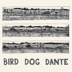 Thrill Jockey John Parish - Bird Dog Dante (LP)