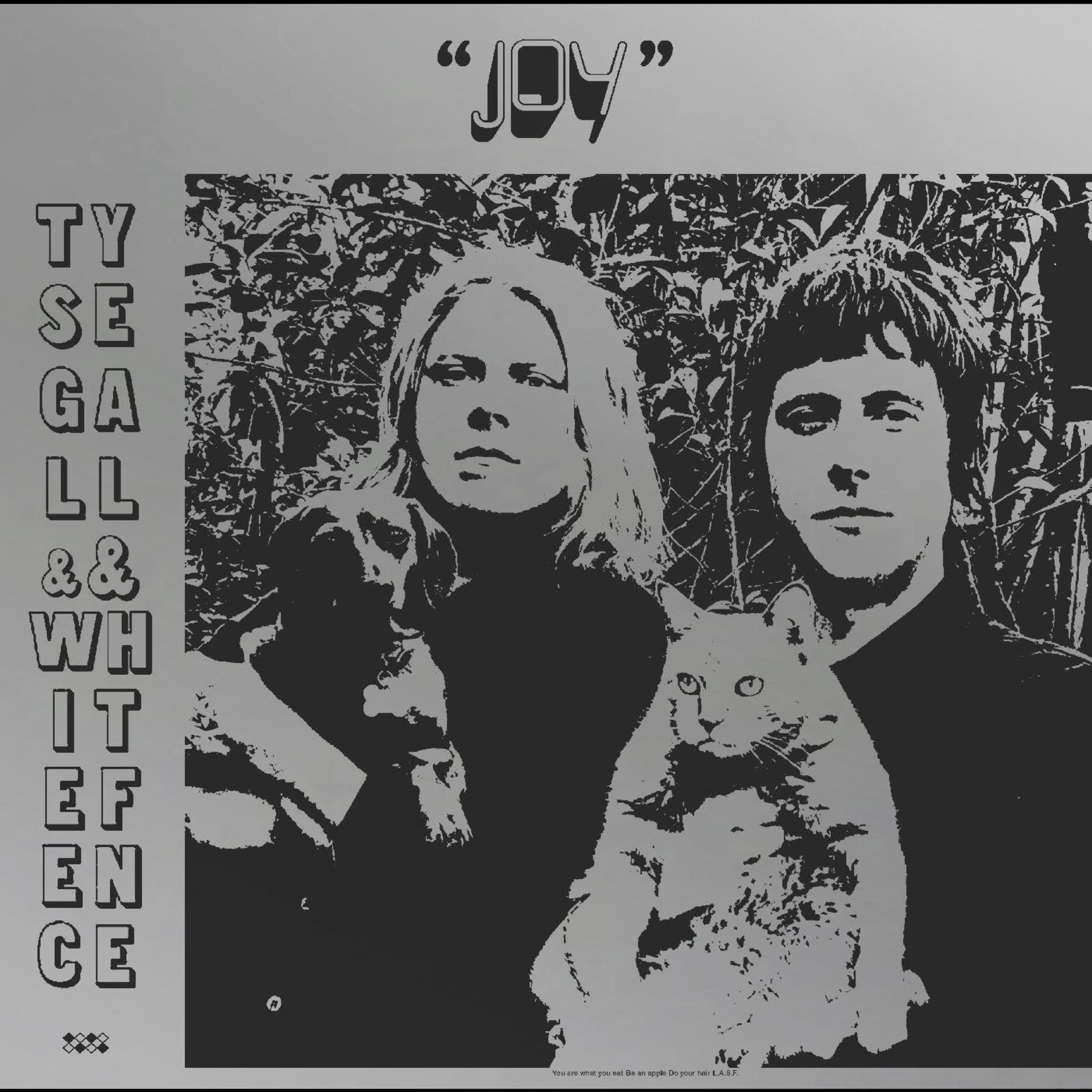 Drag City Ty Segall & White Fence - Joy (LP)