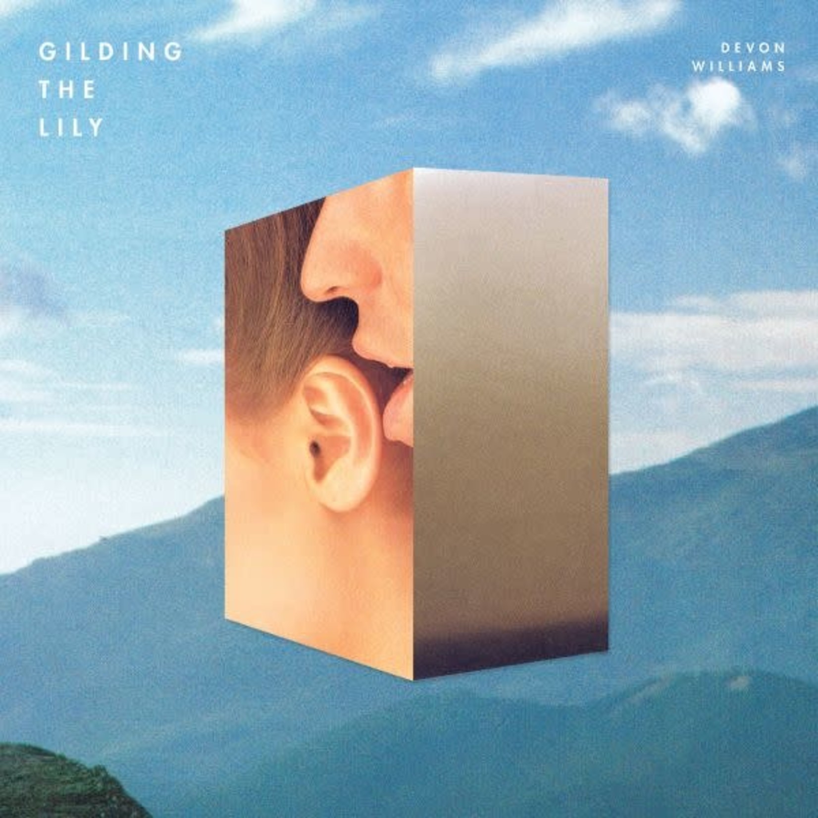 Slumberland Devon Williams - Gilding The Lily (LP)