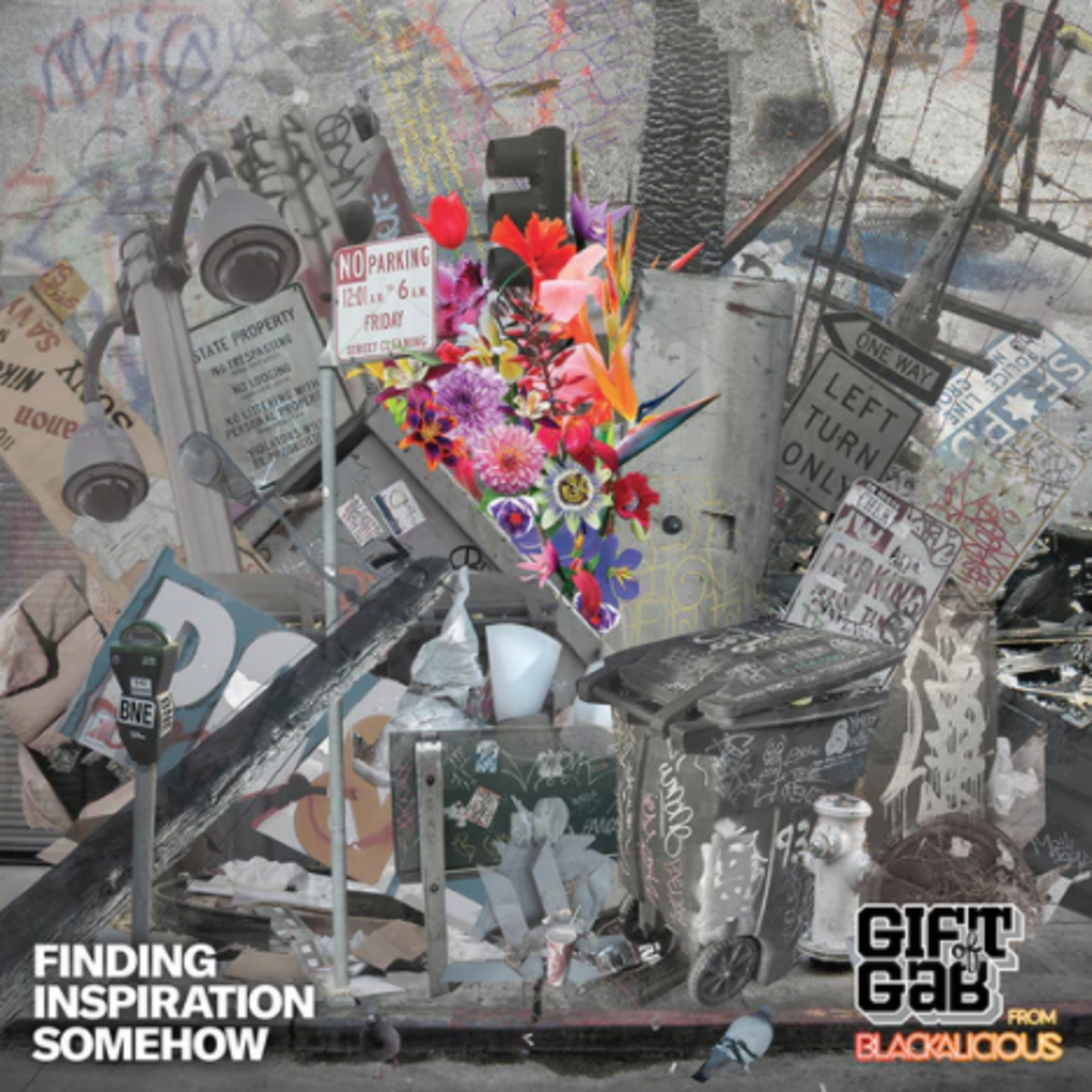 Nature Sounds Gift of Gab - Finding Inspiration Somehow (LP)