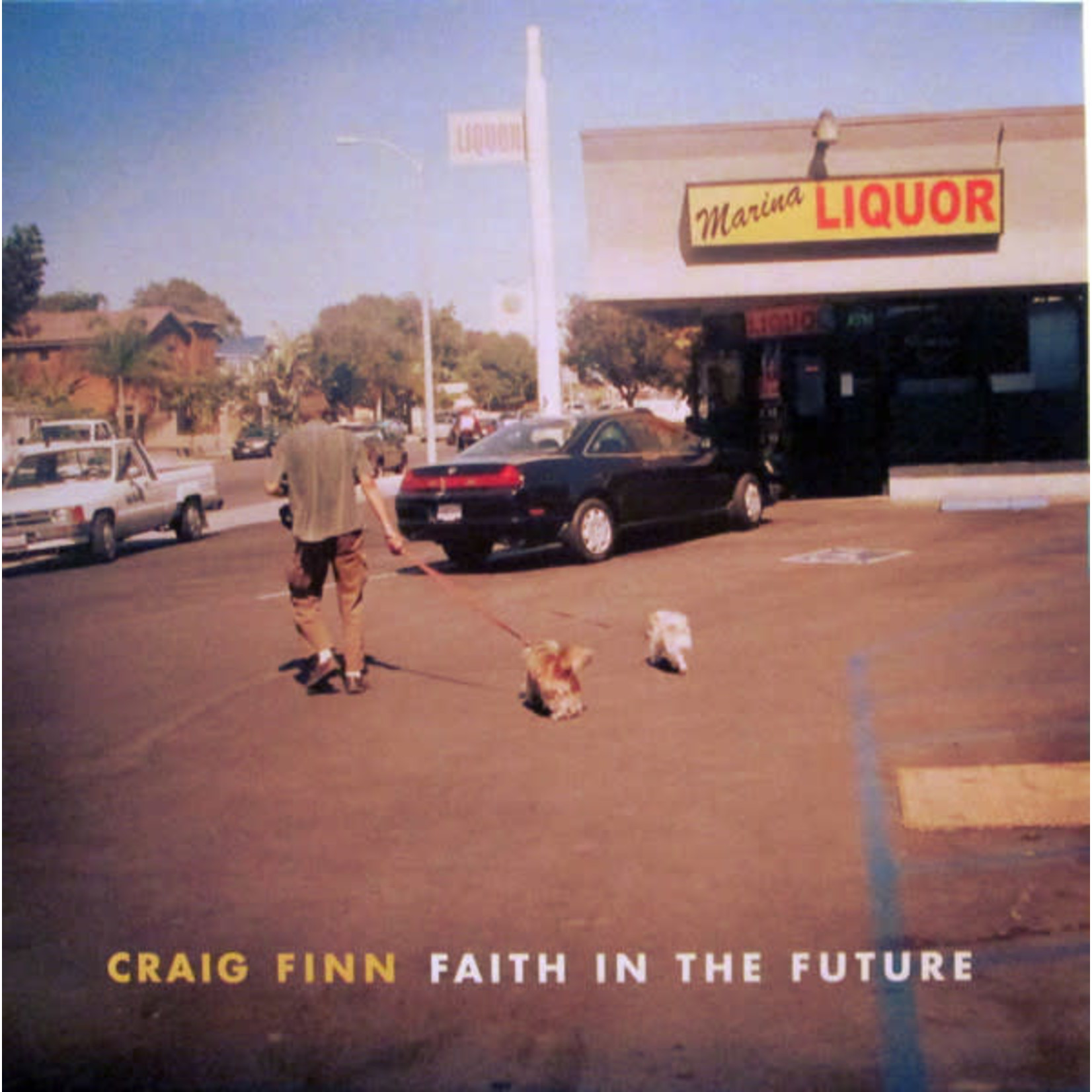 Partisan Craig Finn - Faith In The Future (LP)