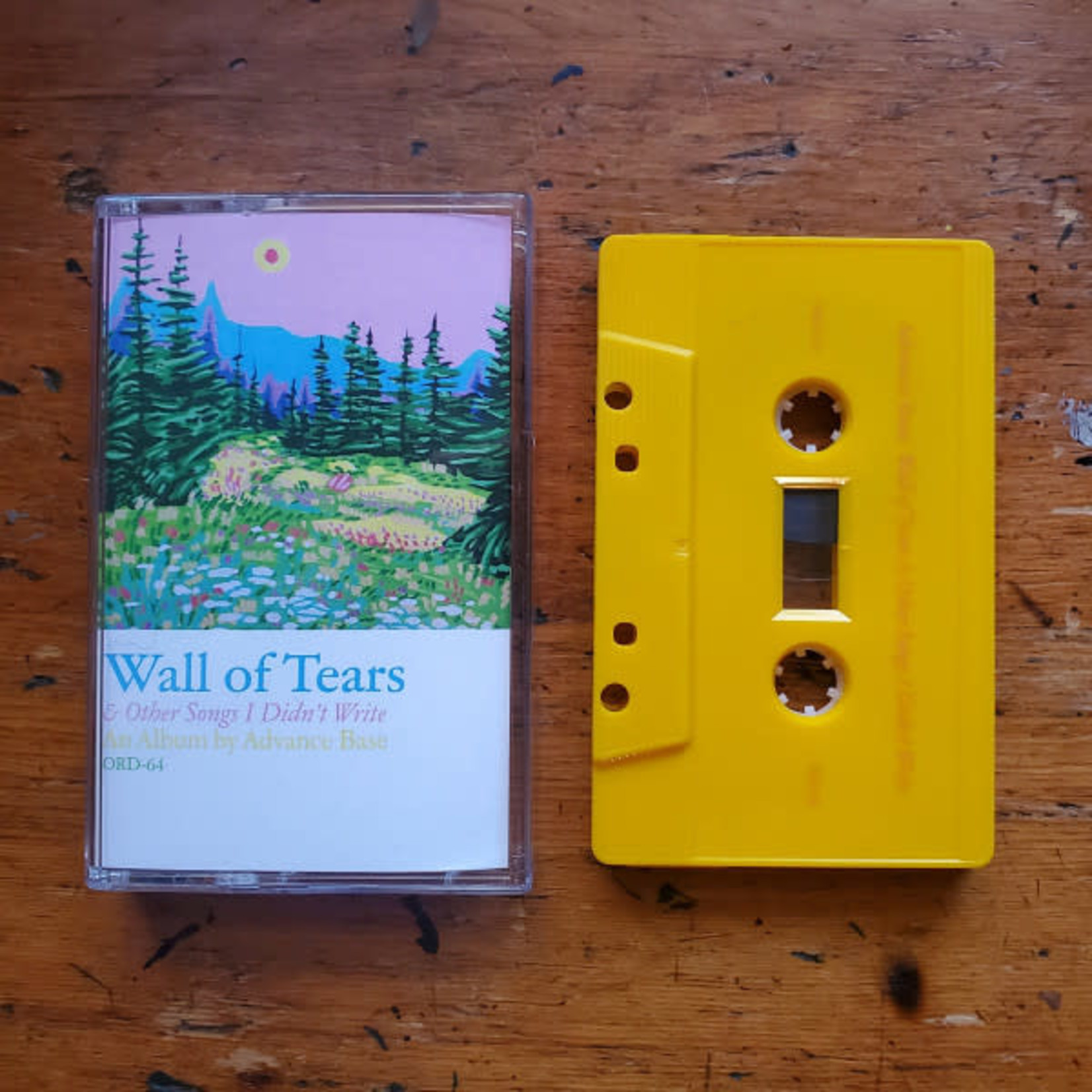 Orindal Advance Base - Wall of Tears & Other Songs I Didn't Write (Tape)