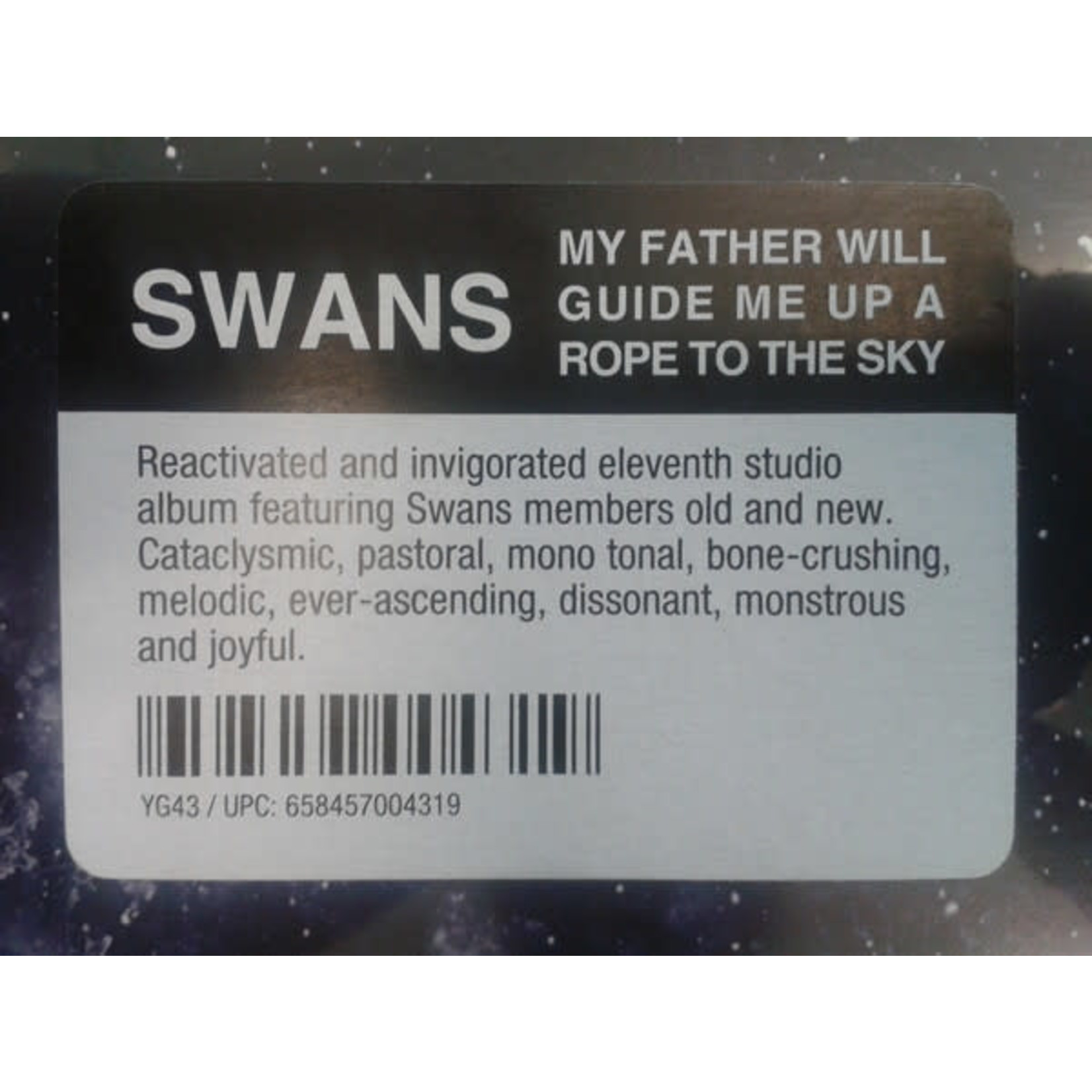 Young Swans - My Father Will Guide Me Up A Rope To The Sky (LP)