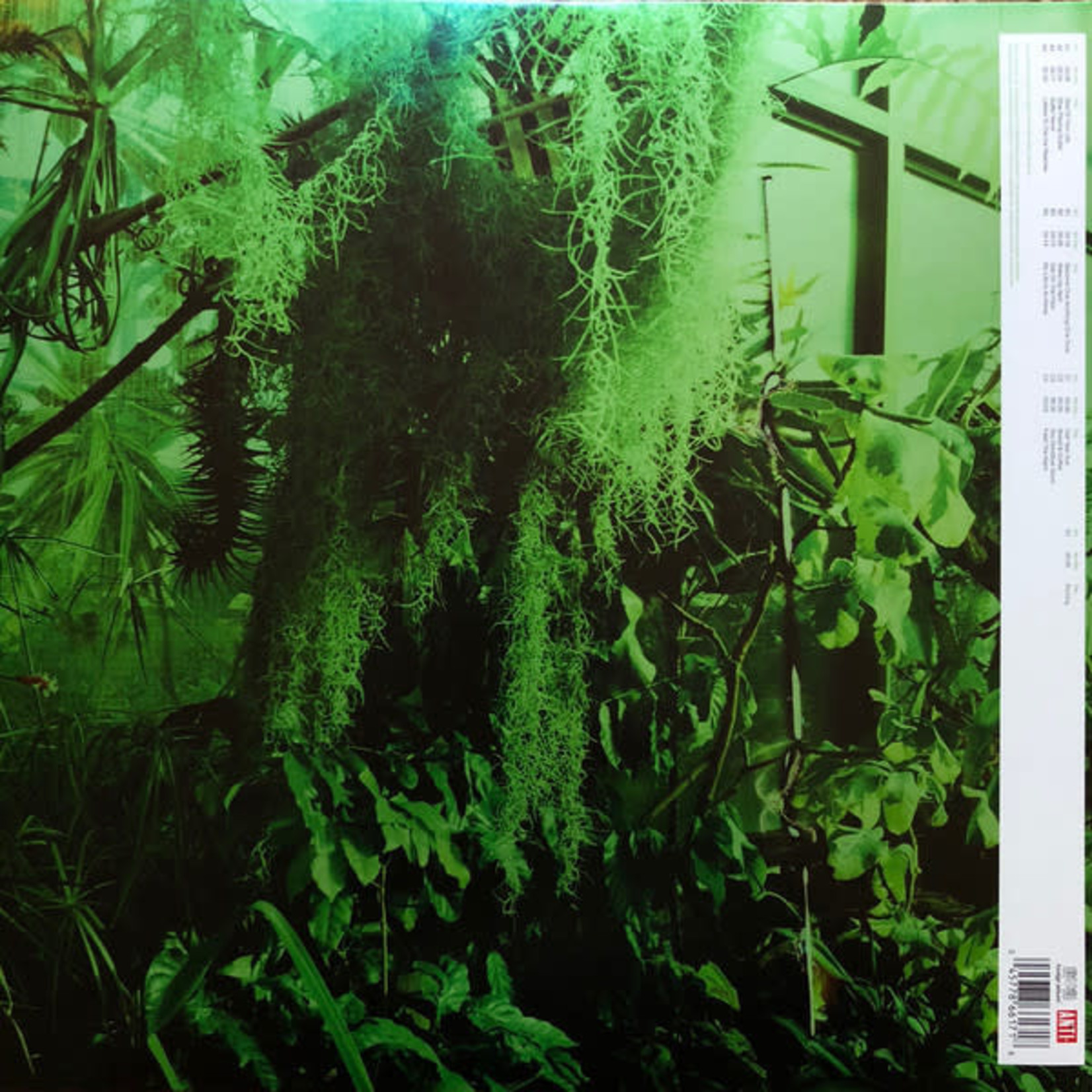 ANTI- Promise Ring - Wood/Water (2LP) [Clear]