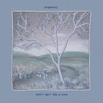 Slumberland Jeanines - Don't Wait For A Sign (LP) [Light Blue]