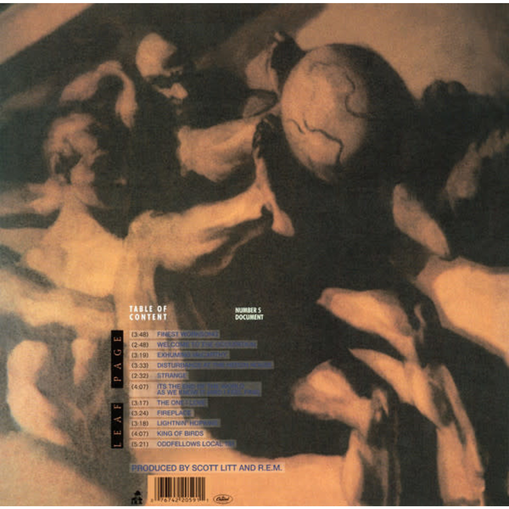 IRS REM - Document (LP)