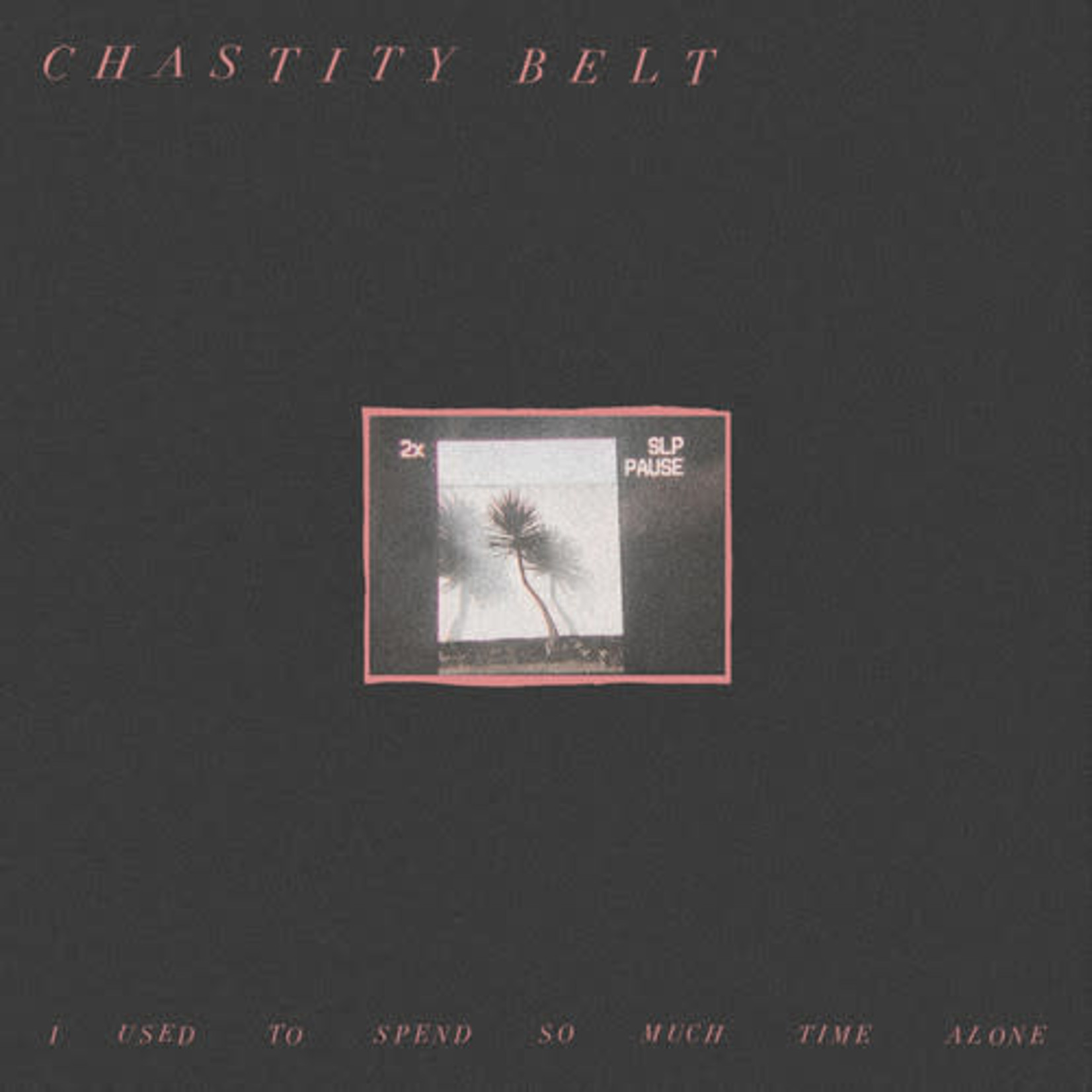 Hardly Art Chastity Belt - I Used To Spend So Much Time Alone (LP)