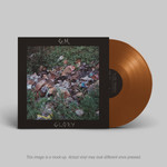 Polyvinyl Good Morning - Glory (LP) [Brown]