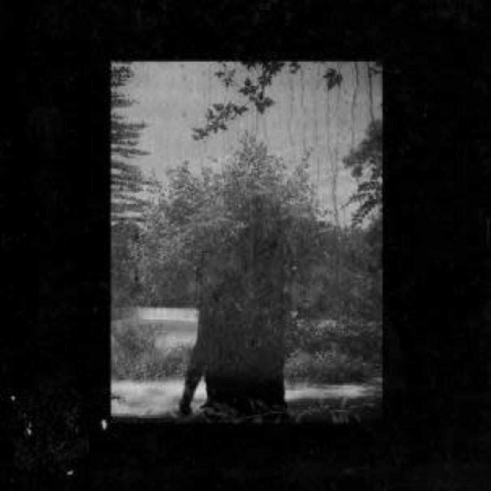 Kranky Grouper - Ruins (LP)
