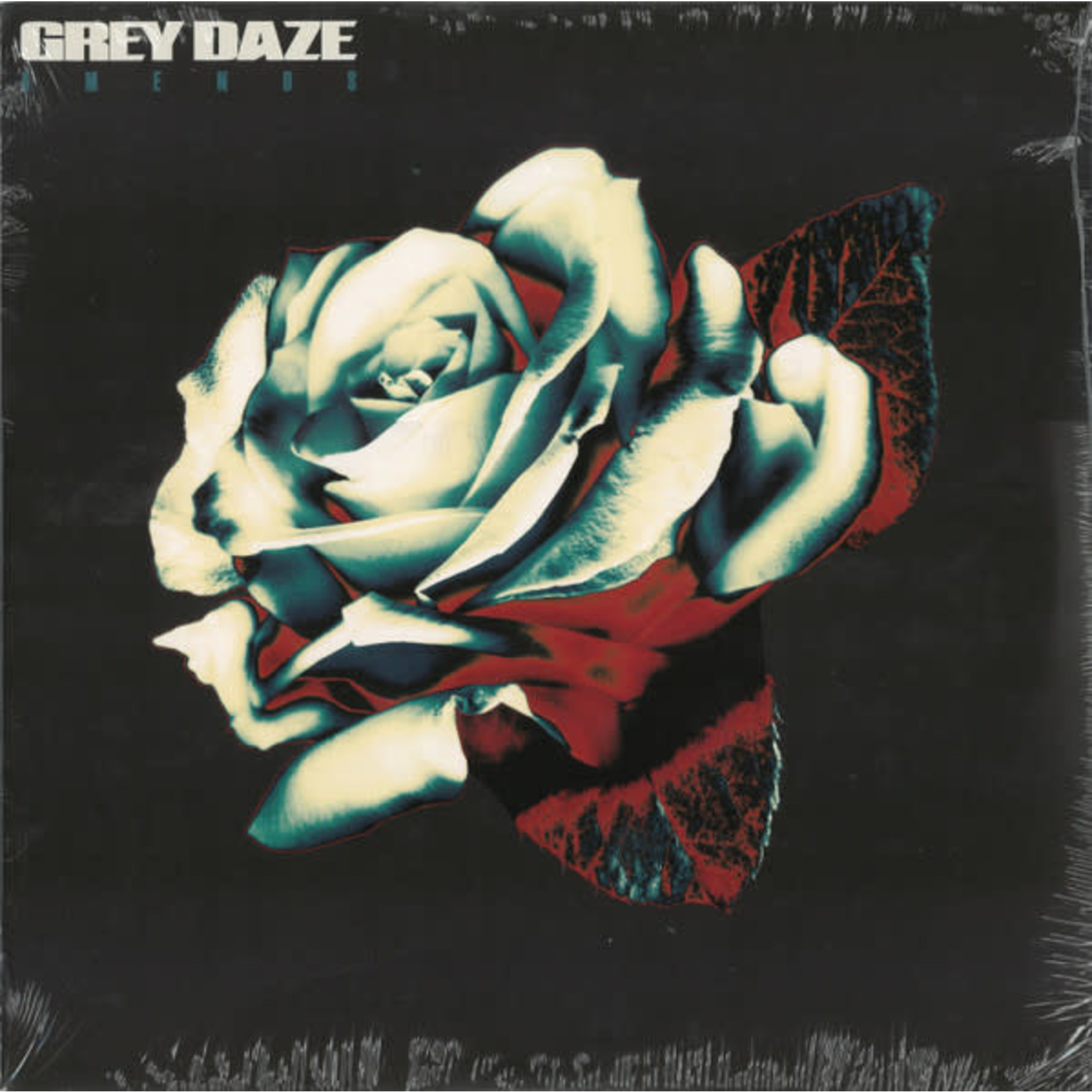 Loma Vista Grey Daze - Amends (LP) [Ruby]