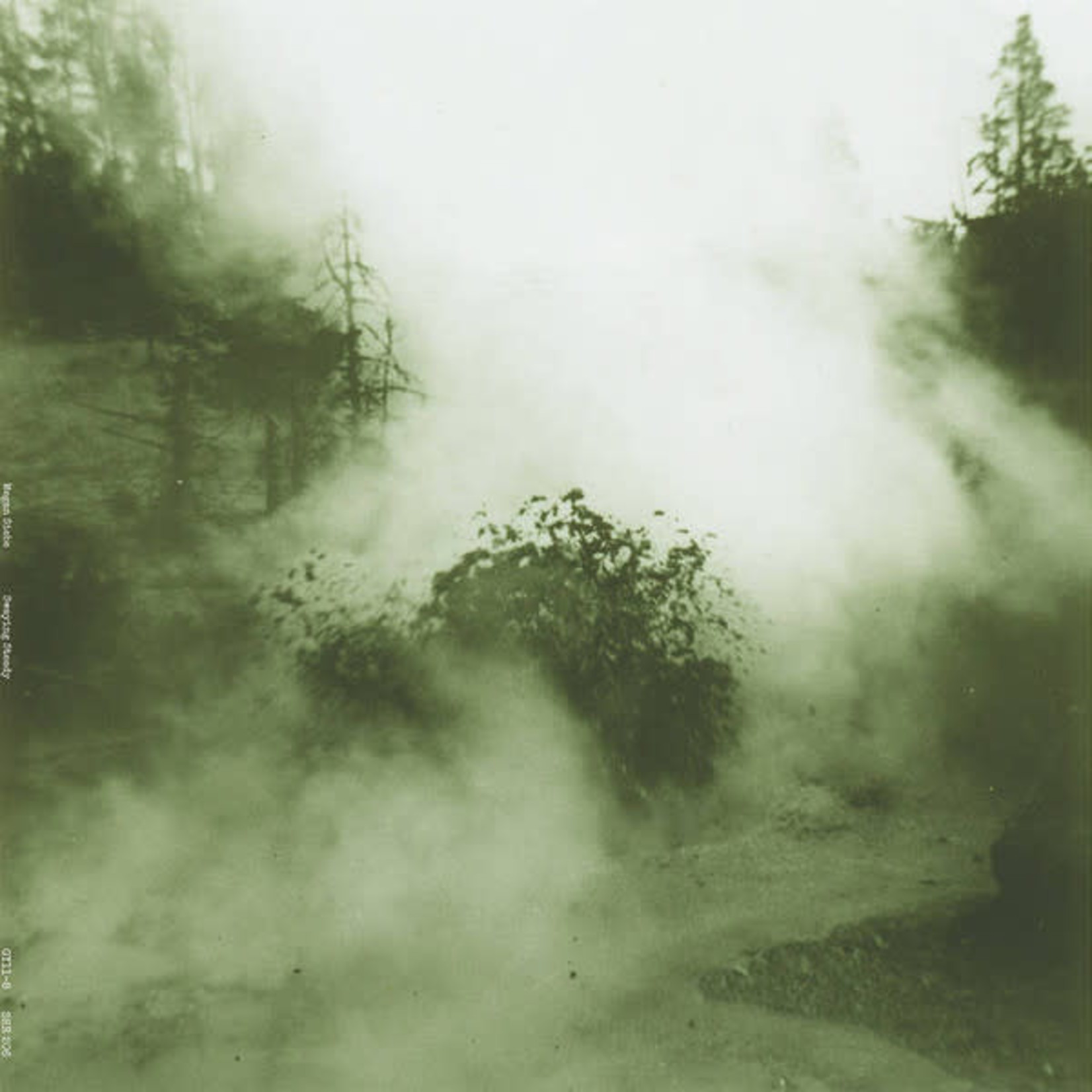 Megan Siebe - Swaying Steady (LP)